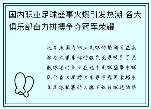 国内职业足球盛事火爆引发热潮 各大俱乐部奋力拼搏争夺冠军荣耀